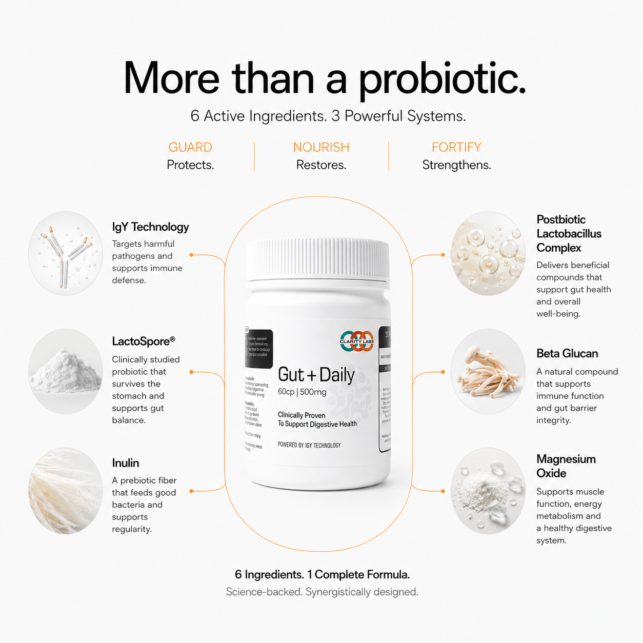 Gut+ Daily